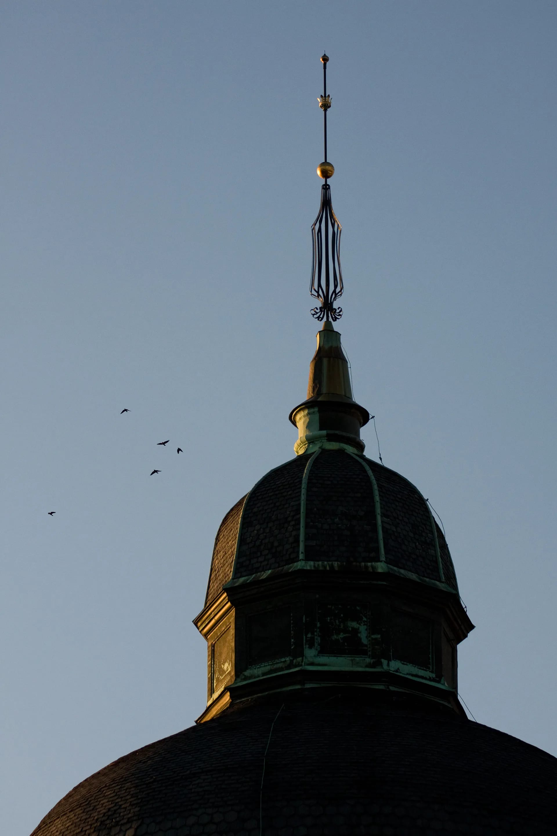 Photograph by Daniel Engdahl