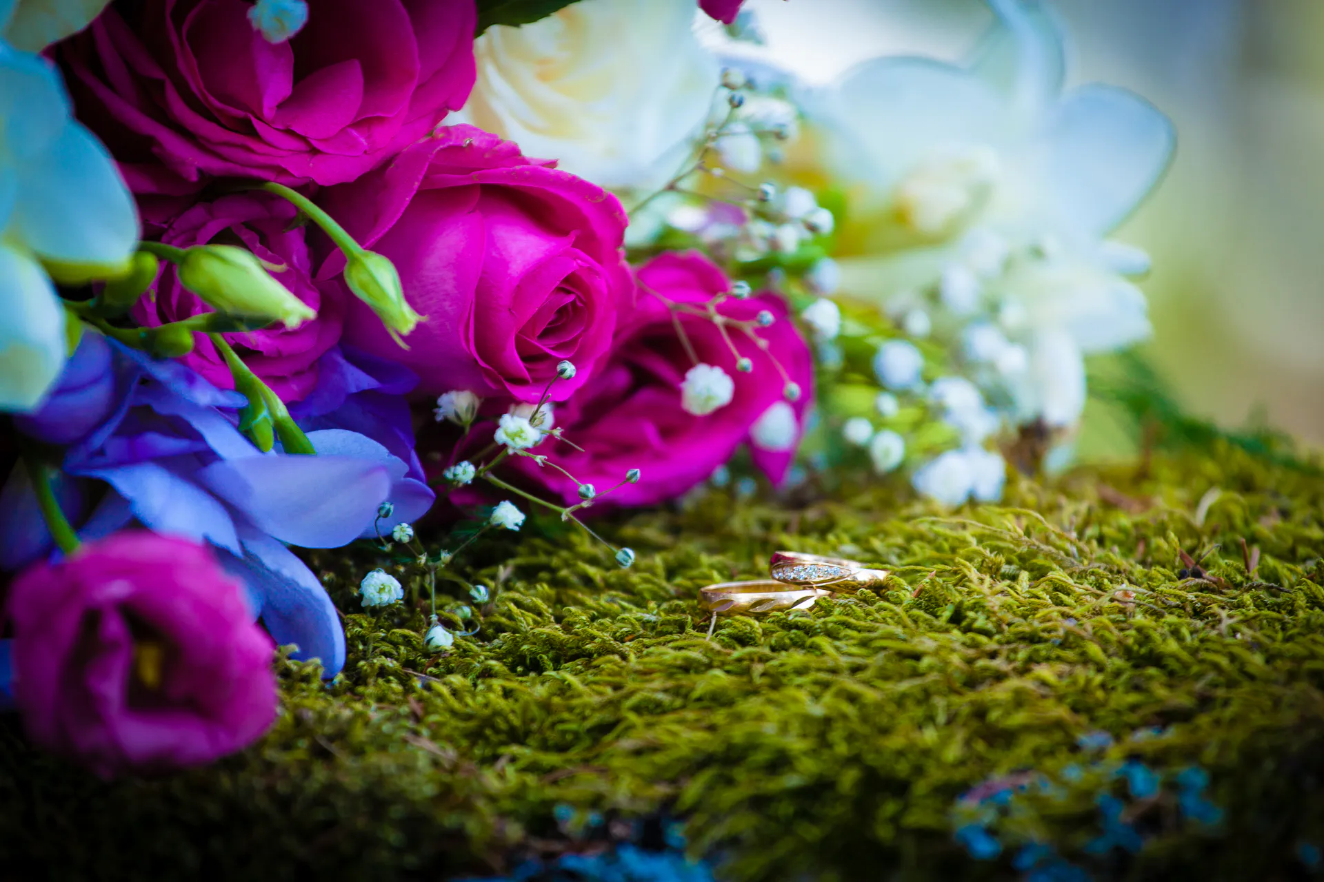 Photograph by Daniel Engdahl